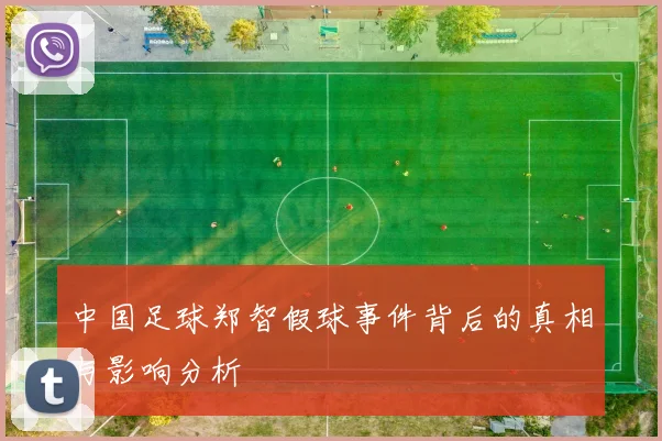 中国足球郑智假球事件背后的真相与影响分析