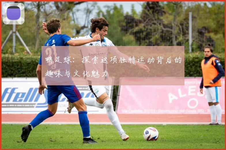 鸭足球：探索这项独特运动背后的趣味与文化魅力