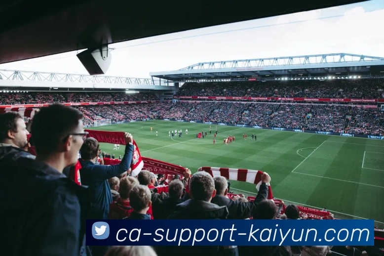 开云官方网站平台生态图